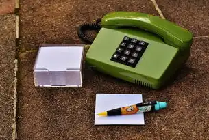 电信服务器出租，揭秘网络世界的幕后英雄，电信服务器租赁