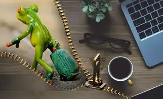 数据蛙数据恢复诈骗揭秘，揭秘数据蛙数据恢复骗局，揭露其内幕，数据蛙怎么样