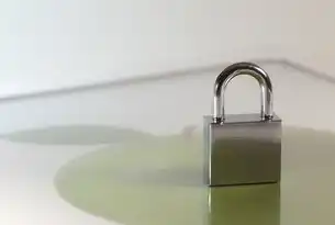 应用安全锁在哪里打开，揭秘手机安全的秘密通道，应用安全锁在哪里打开手机