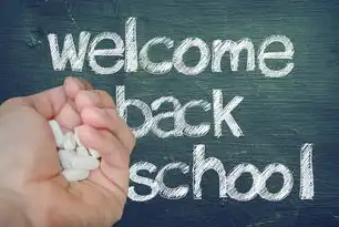 学SEO需要的条件和步骤，全面解析与实战指南，学seo需要什么条件和要求
