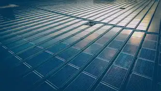 ADSL拨号VPS服务器安装指南，从零开始构建高效网络环境，拨号vps怎么用