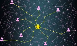 数据库系统中数据项与联系的关系解析