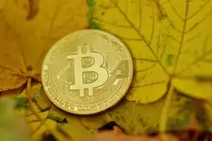 SEO推广是否需要付费？揭秘免费与付费SEO的区别，seo推广收费