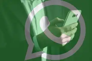 元数据的定义与作用解析，解锁信息世界的隐藏力量，元数据的意思