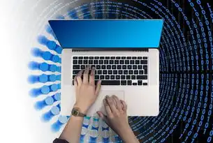 政府网站源码下载指南，全面解析与实用技巧，政府的网站是什么代码