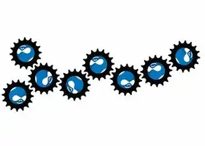CMS SEO，如何优化您的网站以提升搜索引擎排名