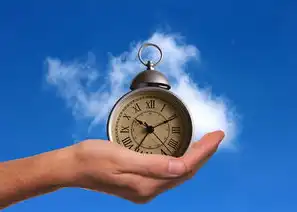关键词排名消失背后的秘密，揭秘SEO优化中的常见陷阱与解决方案，关键词排名消失一个月了