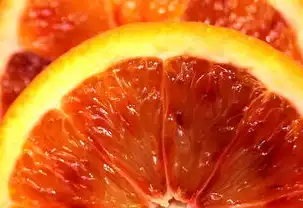 水果类型网站源码解析与开发实践，水果类型网站源码是什么