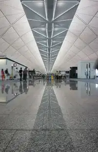香港访问快服务器的秘密武器，提升网络速度与安全性的终极解决方案，香港服务器访问国外网站快吗?