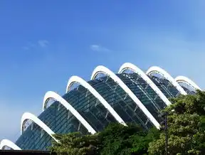 新加坡服务器，构建高效、稳定的数据中心解决方案，新加坡服务器需要备案吗