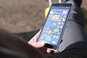 Windows 服务器管理软件，高效、稳定与安全的完美结合，win10服务器管理工具
