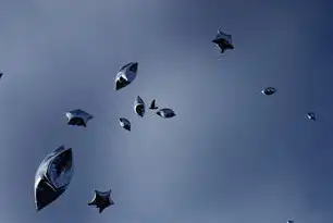 探索无限可能，可视化动态图表个人免费软件，可视化动态图表个人免费软件下载