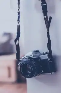 数据挖掘与预测分析在金融领域的应用研究，数据挖掘与预测分析论文题目
