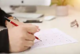 常德SEO外包公司，本地化精准营销策略与数字化转型的双赢之道，常德seo外包公司有哪些