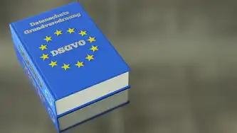 通用数据保护条例（GDPR）解读与实施指南，通用数据保护条例草案