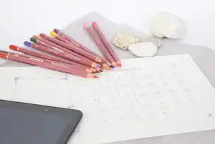 税控盘备份数据的位置与备份方法详解，税控盘数据备份步骤