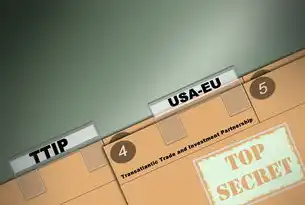 探索全球网络，揭秘TOP域名与美国的互联网服务，美国站点域名