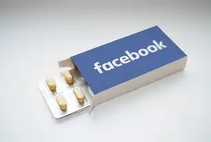 药品网站源码解析与优化指南，药品网站源码是什么