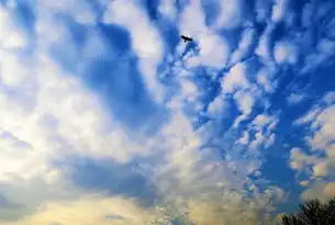 蓝色大气的魅力与神秘，探索其背后的代码世界，蓝色的网页代码