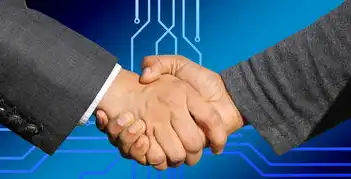 万兴数据恢复专家，专业服务与收费标准解析，万兴数据恢复专家收费吗
