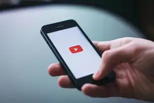 如何在苹果手机上取消推特隐私和安全设置？iphone推特隐私安全怎么设置