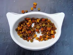 探索宠物用品网站的无限可能，打造完美宠物的幸福家园，宠物用品网站大全