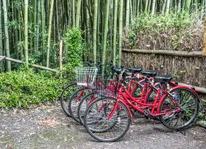 旅游景区所属行业类别的填写指南与解析，旅游景区属于什么行业类型