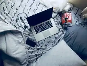 专有云与私有云的区别，揭秘企业级云计算的最佳选择，私有云和专有云最大的区别在于