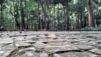 如何注册网站，从选择域名到上线运营的全流程指南，如何注册网站域名账号