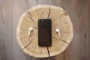 物理服务器使用指南，从基础到高级，物理服务器的使用方法视频