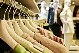 智能生态与可持续美学，新消费时代服装网站的革新路径探索，国外服装网站