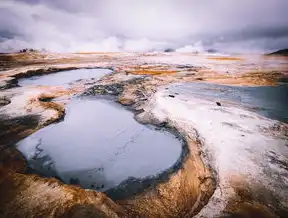 数字时代的个人品牌构建者，我的全链路成长档案与价值交付实践，个人主页网站在线生成