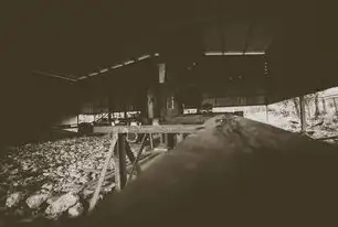 灾毁恢复重建工程的系统性实践与创新路径，灾毁恢复重建工程 减免政府性基金