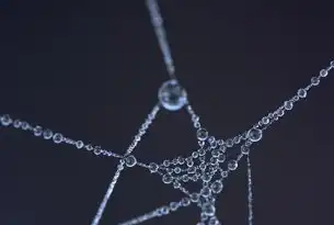 lamp源码全解析，从架构设计到行业应用的技术实践指南，灯饰网站源码下载