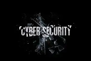 深入剖析，基于SQL注入漏洞的网站源码安全检测与修复实践，有注入漏洞的网站源码是什么
