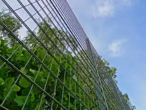 广州高防服务器，构建数字时代安全基石的技术生态与产业实践，广东高防服务器