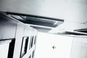 从零到一，构建高效服务器的全流程指南，建服务器需要什么软件