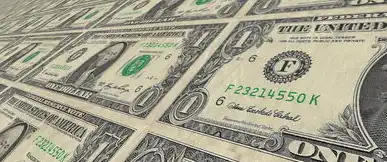 金融统计数据质量提升专项行动自查报告，金融统计数据质量自查报告总结
