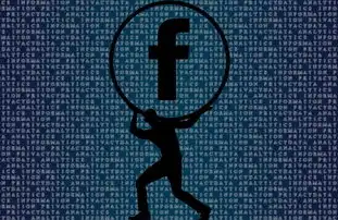 数据主权与数字自由的共生之困，解构隐私保护与信息自由的动态博弈，数据隐私与自由的区别