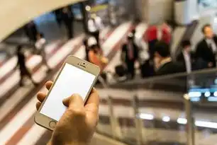 E型组织力，解码企业型人格驱动的高效能生态构建，企业型e型的特点是什么