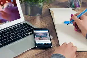 中心服务器环境CMS系统全流程重启操作指南，从故障排查到灾备恢复的完整解决方案，cmsv6服务器