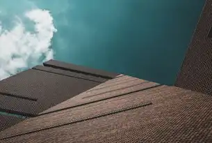 云基础设施服务，数字时代的神经中枢与价值创造引擎，云基础设施机制包括哪些?