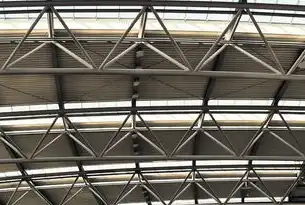 从零开始，服务器搭建全流程解析与关键要素，建造服务器需要什么软件