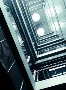 数字化转型时代的服务器资源配置策略，购买与租借的深度解析与决策指南，服务器购买租用