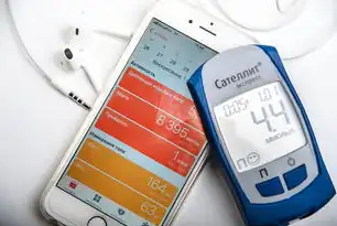 VPS服务器显示离线怎么解决？从网络配置到系统维护的全面指南，vps主机服务器