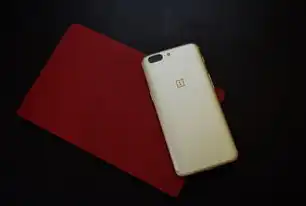 KT双手机服务器，双系统协同工作模式下的技术革新与行业应用深度解析，kk手机版服务器设置