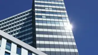 合肥蓝鲸云享科技官网深度解析，以智能云平台重构产业数字化生态的先锋实践，合肥蓝鲸国际