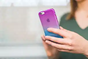 深度解析，苹果设备数据清除的完整指南与隐私保护策略，iphone数据清除