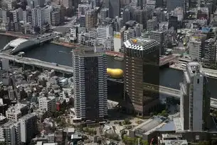 山城蝶变，重庆智慧城市建设的三维创新路径，重庆智慧城市建设现状