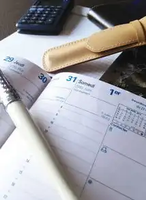 （2023年XX月XX日）合规性审查意见回复表模板